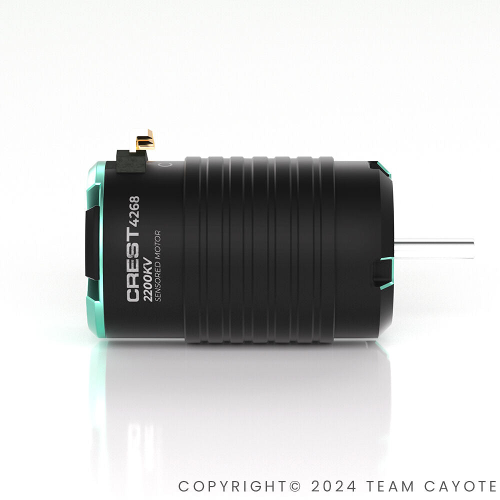 CAYOTE 1:8 Crest 4268 1900KV Brushless Motor