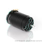CAYOTE 1:8 Crest 4268 1900KV Brushless Motor