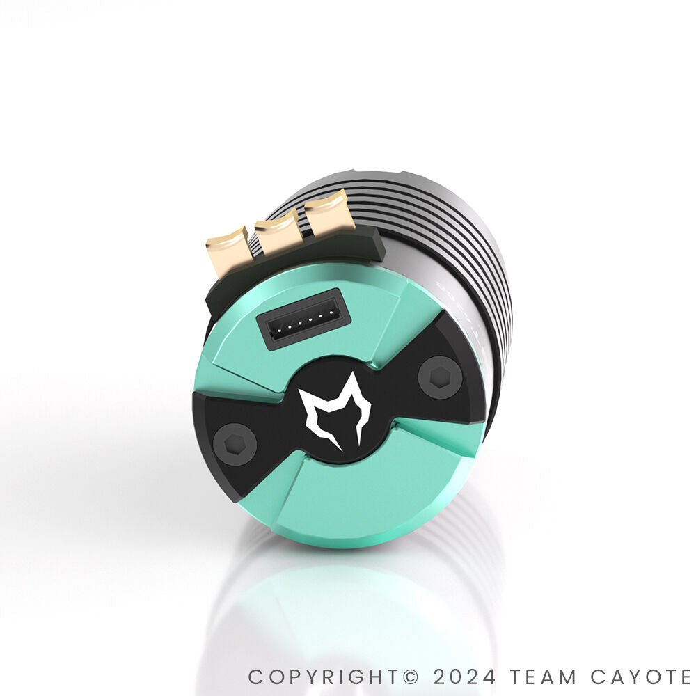 CAYOTE 1:8 Crest 4268 1900KV Brushless Motor