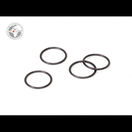 DUAL SEAL O-RING (4pcs)