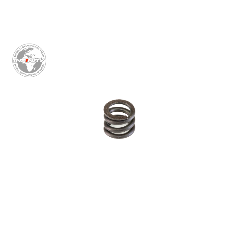 CLUTCH SPRING (TG Clutch)