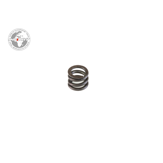 CLUTCH SPRING (TG Clutch)