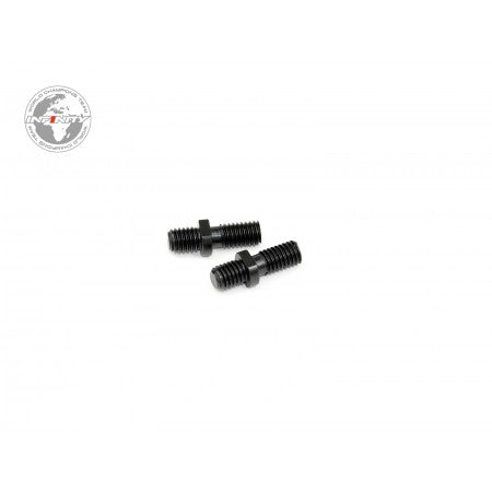 IFB8 CAPTIVE SCREW 17.5 mm (2pcs)