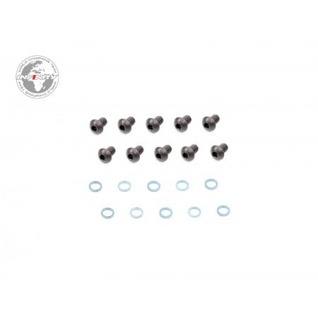 IFB8 SHOCK CAP SCREW AND GASKET (10pcs)